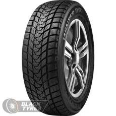 Delinte Winter WD1