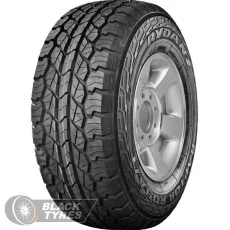 Rydanz Raptor R09