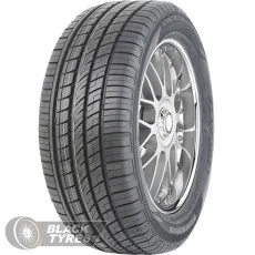 Fortune FSR-303