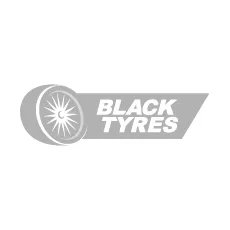 Hankook Winter i*cept evo 4 (W340)