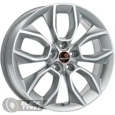 R202 (Nissan X-trail) (Сильвер)