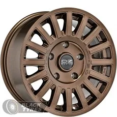 Rally Raid (Gloss Bronze Black Lettering)