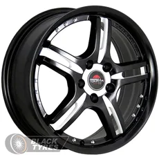Model-12 (MB+WM)