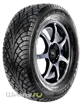 Winter RX858
