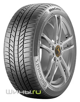 Continental WinterContact TS 870 P