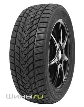 Delinte WD1 205/55 R16 91H