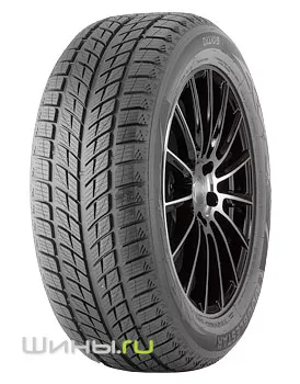 Doublestar Winterking DW09 315/35 R20 106T