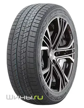 Doublestar Winterking DW16 245/45 R19 98T