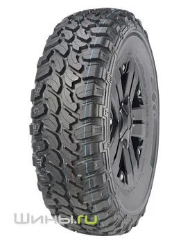 Catchfors M/T