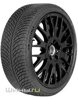 Michelin Pilot Alpin 5