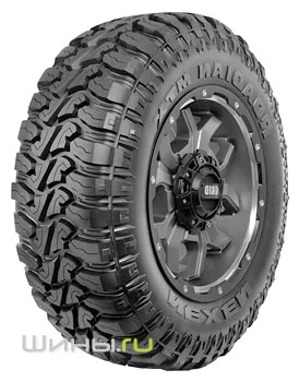 Nexen Roadian MTX